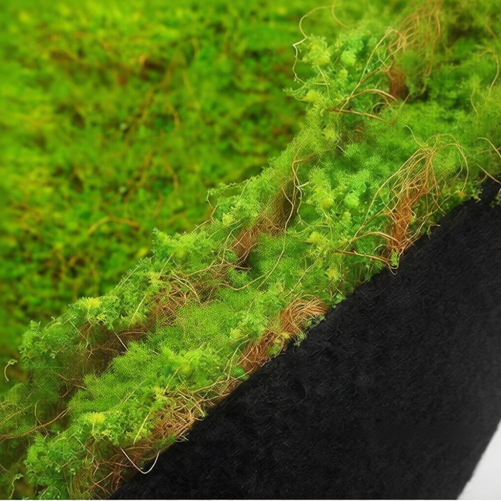 Alfombra de césped artificial  - Preserved Moss Sheet reseña y precio