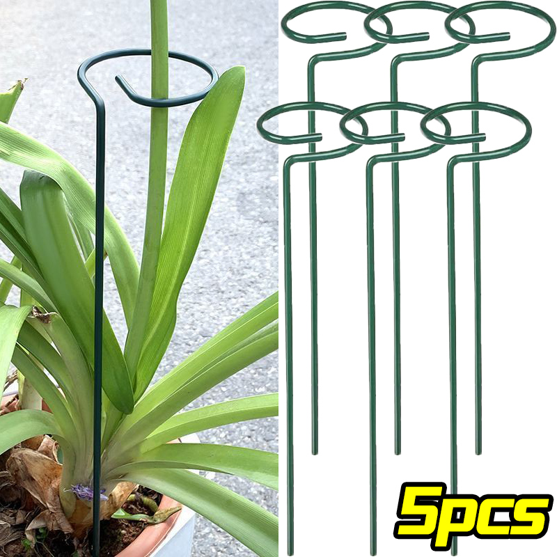 Anillo de estaca de soporte pa - Florist Supply Bulk reseña y precio