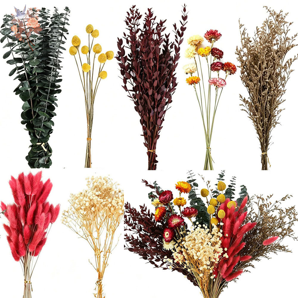 Set de Flores Secas al por May - Florist Flower Supply reseña y precio