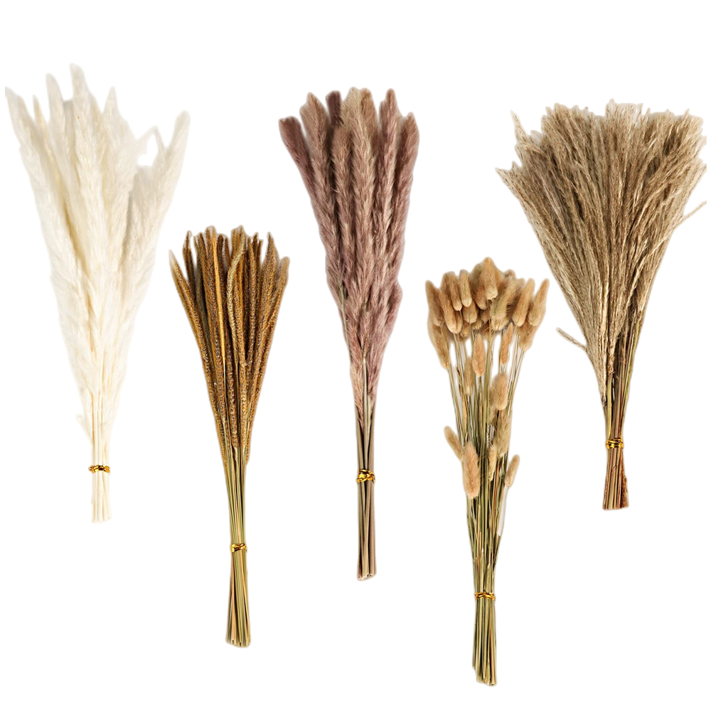 Ramo de Flores Secas Mixtas Vi - Florist Supply Vases reseña y precio