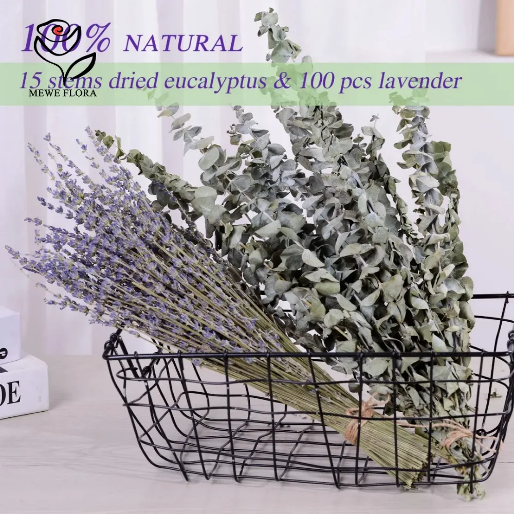 30 Uds. De flores secas, hojas - Eucalyptus Preserved reseña y precio