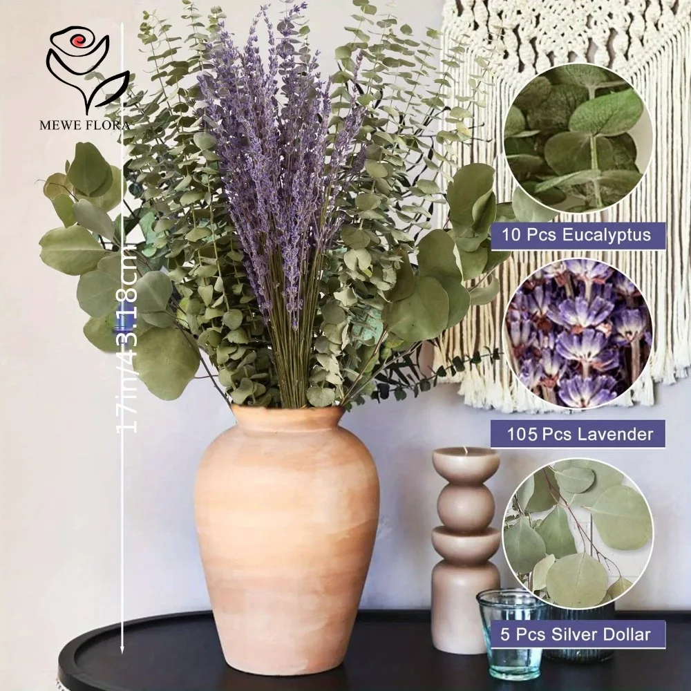 30 Uds. De flores secas, hojas - Eucalyptus Preserved reseña y precio