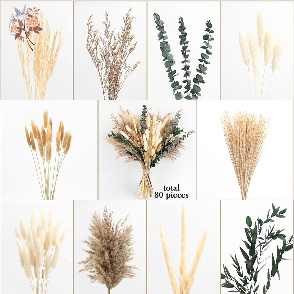 80 piezas de flores secas natu - Eucalyptus Preserved reseña y precio