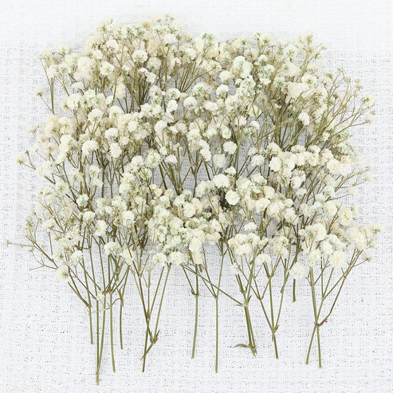 50 piezas de flores de gypsoph - Florist Supply Vases reseña y precio